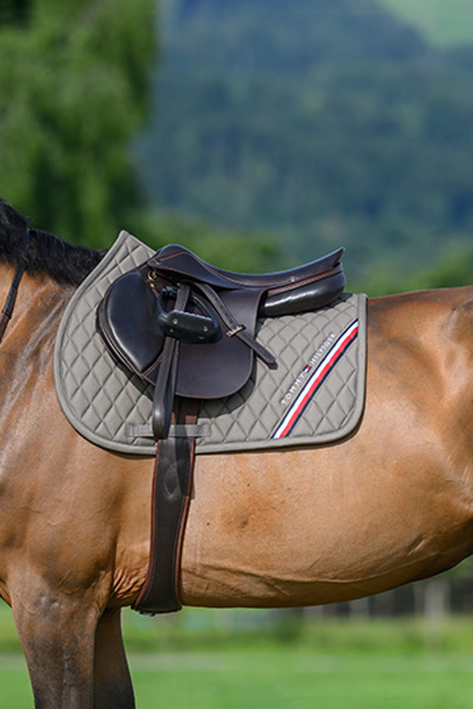 Ash Tommy Hilfiger Equestrian Stanford czaprak skokowy