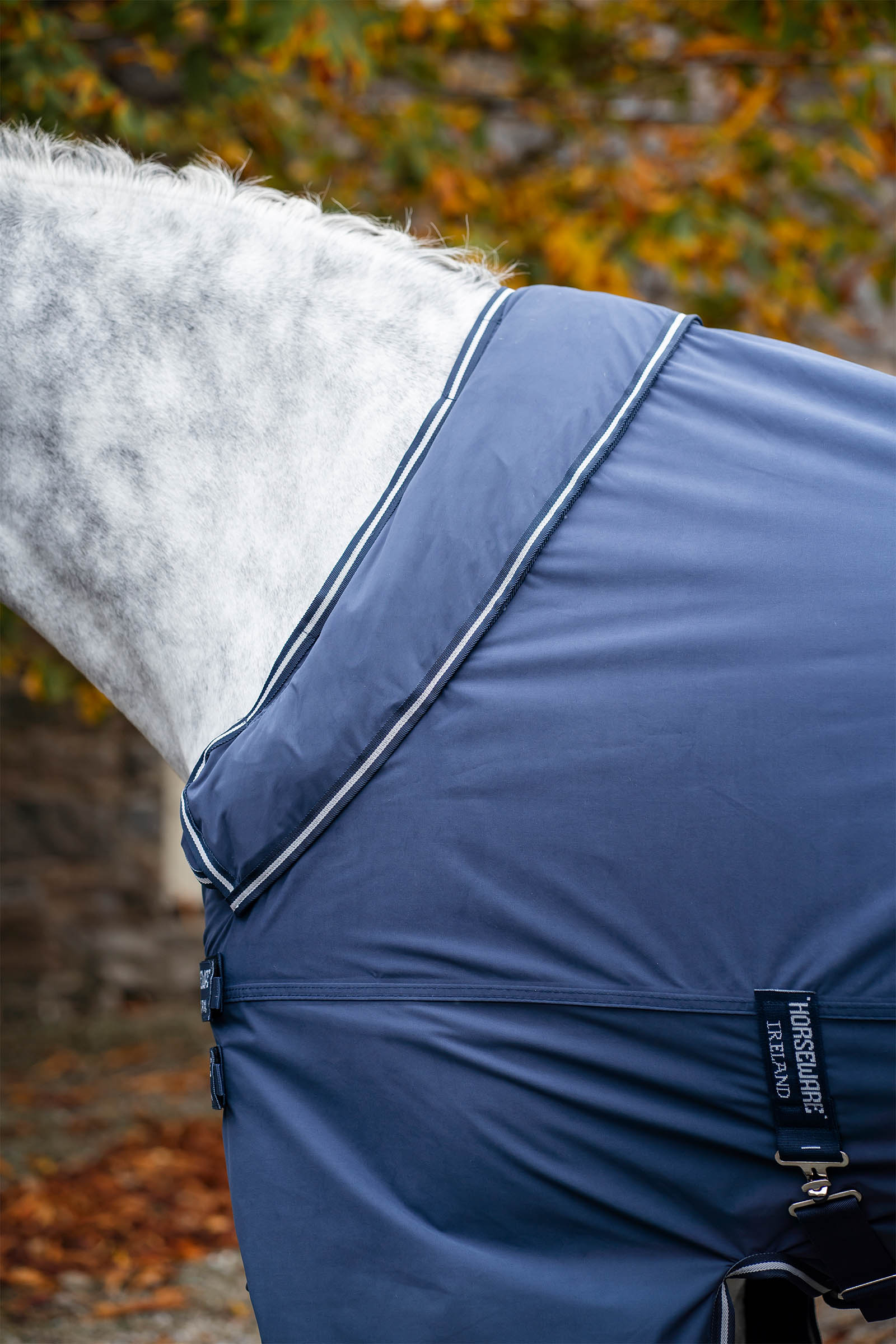 Horseware Show Ready derka