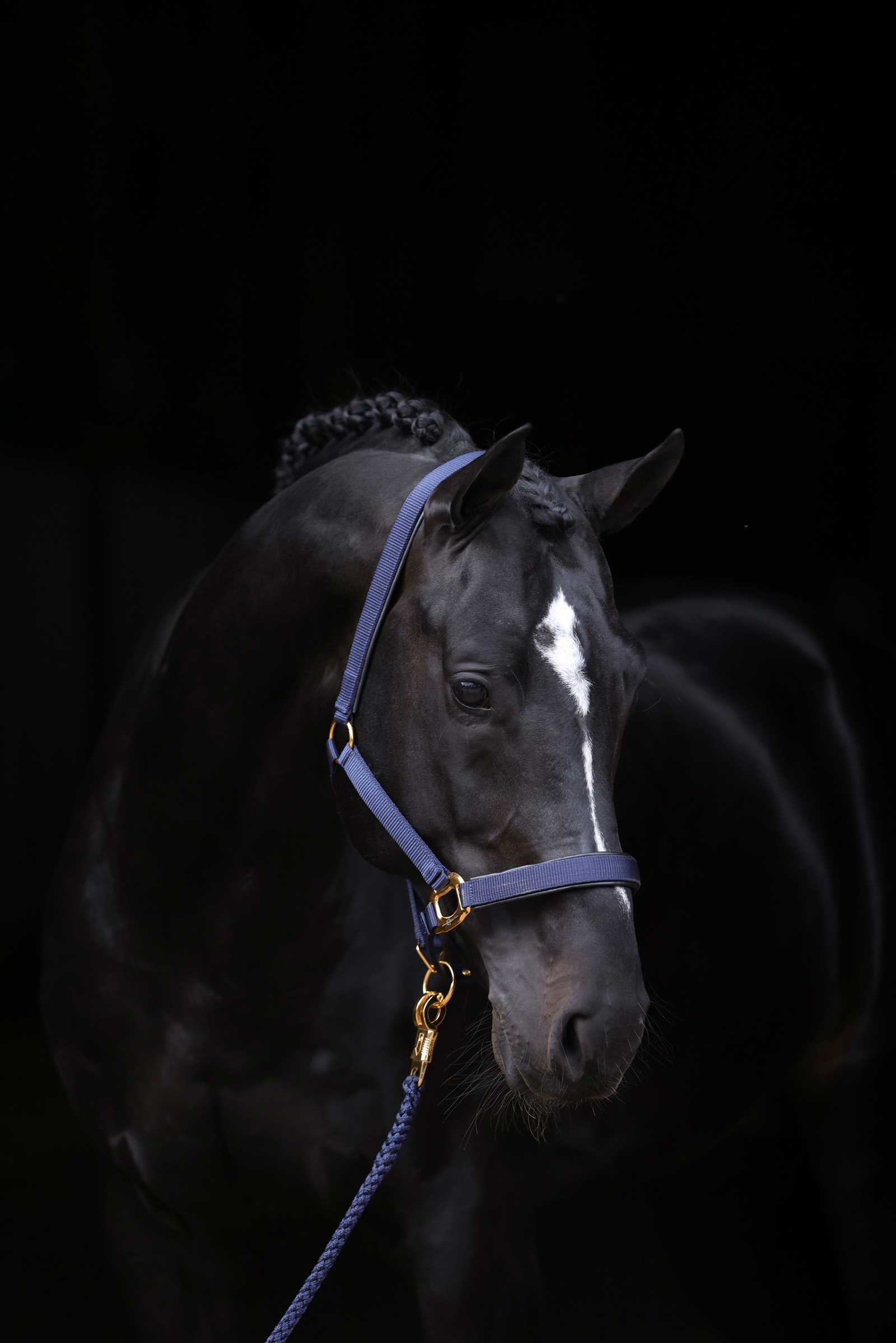 DB/AB Covalliero TopLine Kantar