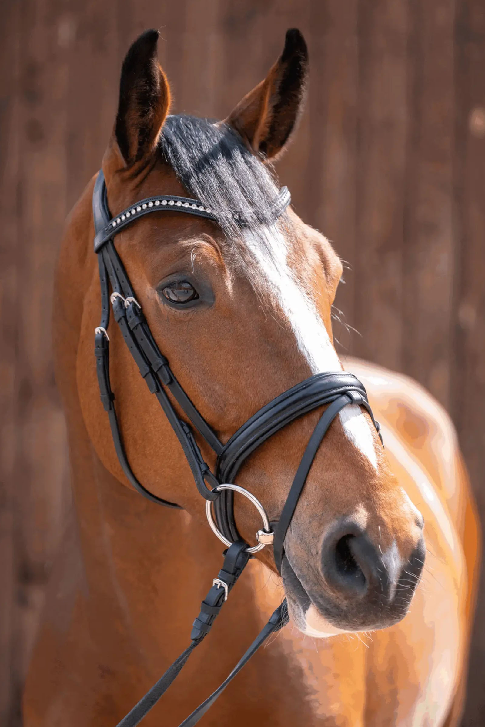 Sprenger Novocontact wędzidło z luźnymi pierścieniami 14mm pojedynczo łamane Sensogan z 70mm pierścieniami ze stali nierdzewnej