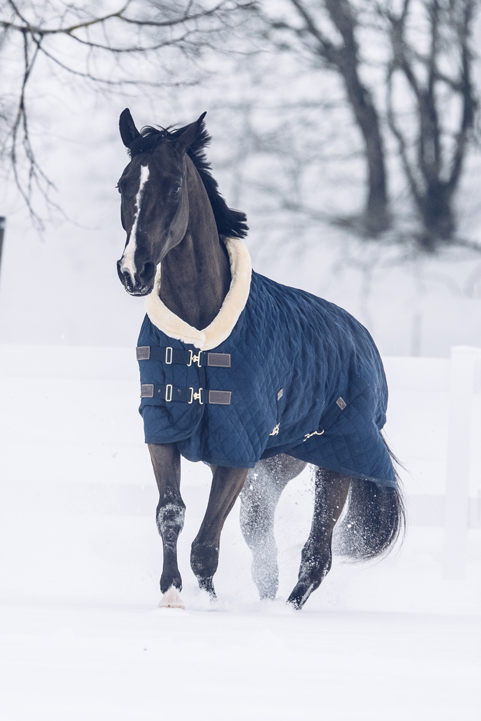 Derka konkursowa Kentucky Horsewear 160g