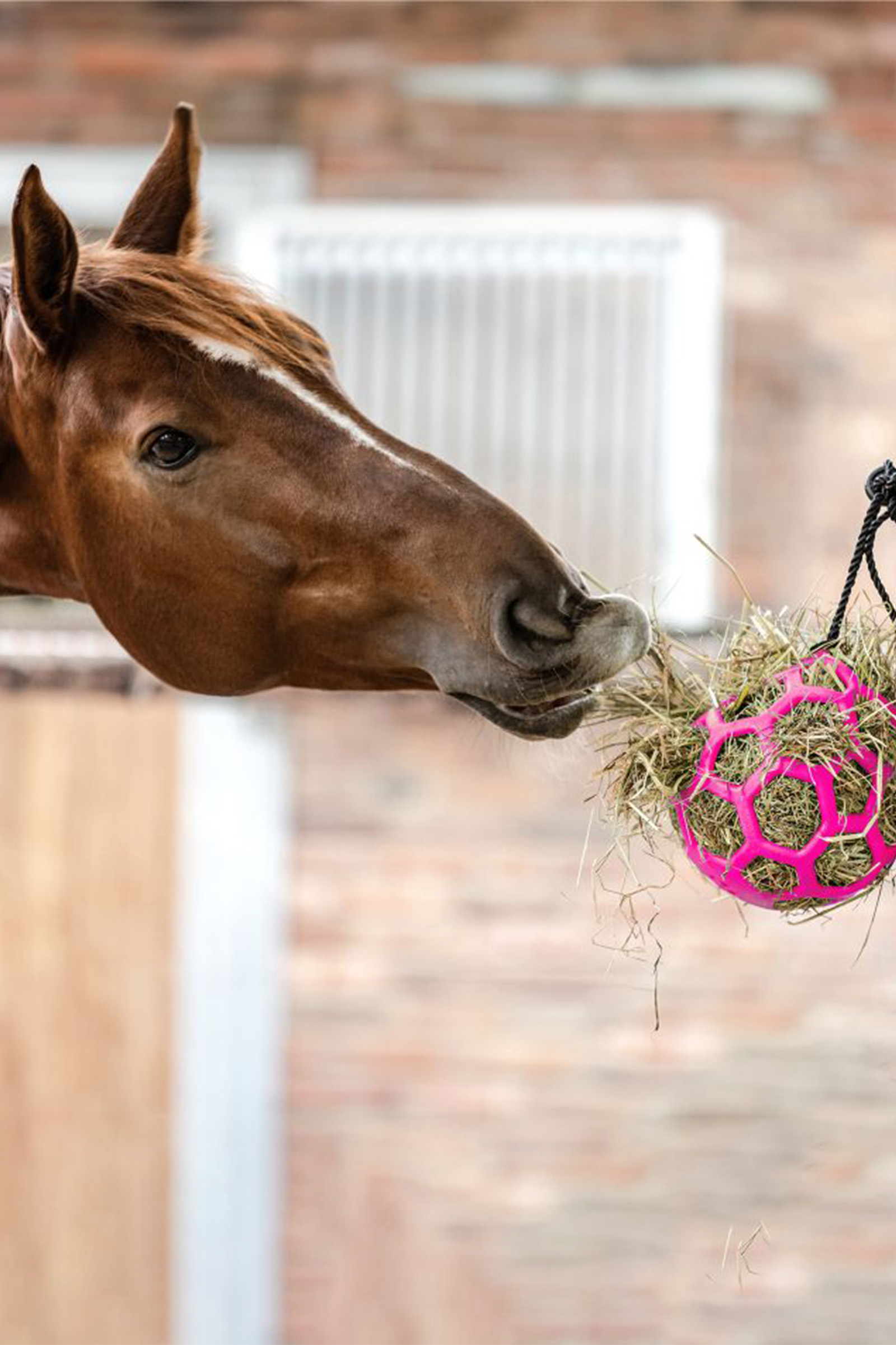 Piłka siana Waldhausen